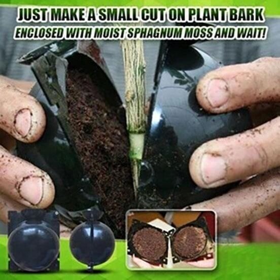 Plant Root Growing Box