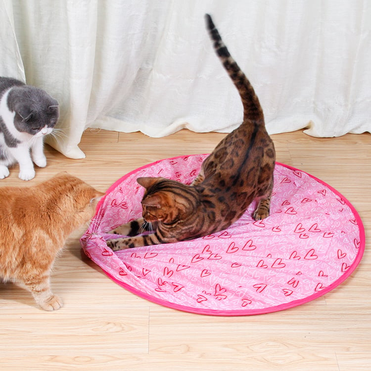 2 in 1 Simulated Interactive Hunting Cat Toy