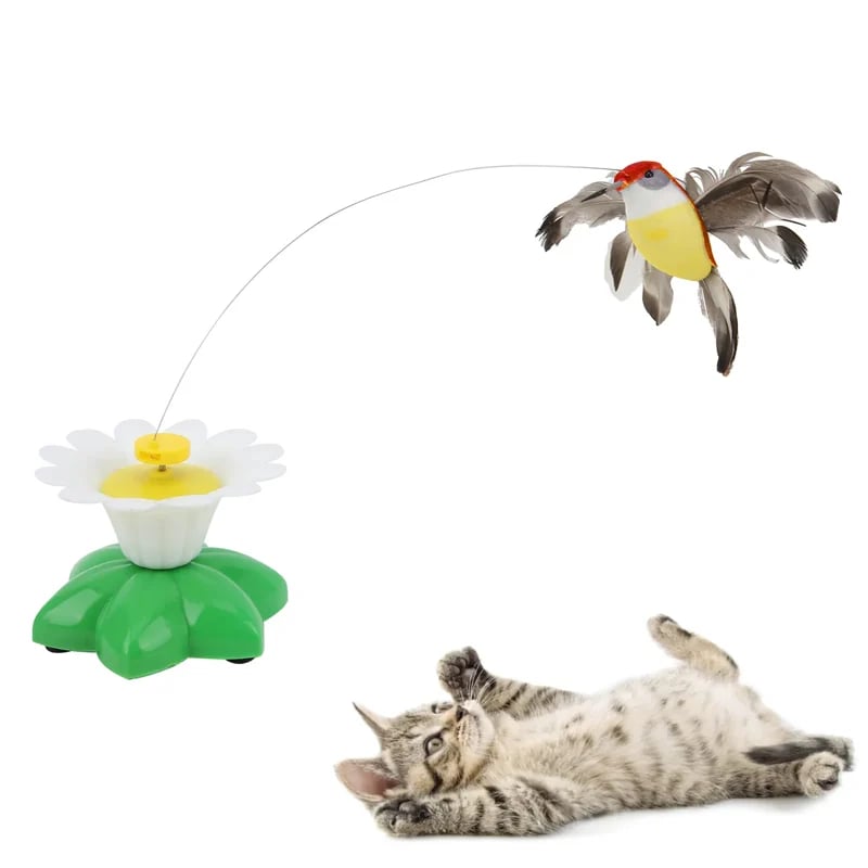 Electric bird teasing cat toy